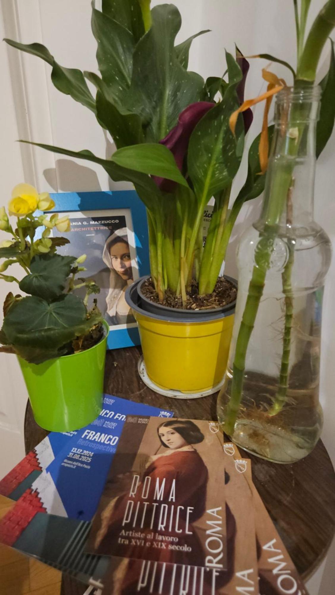 Bed and Breakfast Ulysses In Roma Esterno foto